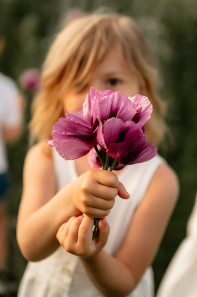 Familienshooting Mohnblumenfeld, Stranzendorf, Weinviertel, Niederösterreich