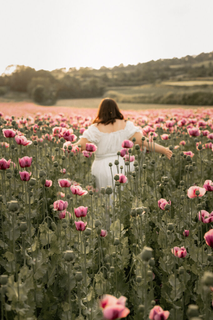 Familienshooting Mohnblumenfeld, Stranzendorf, Weinviertel, Niederösterreich